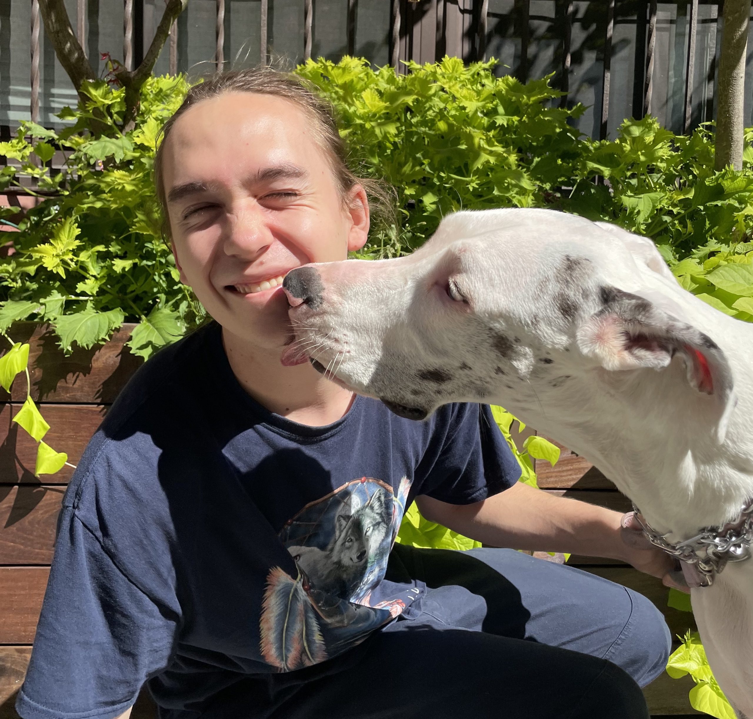 Declan - RuffCity - NYC Dog Walkers