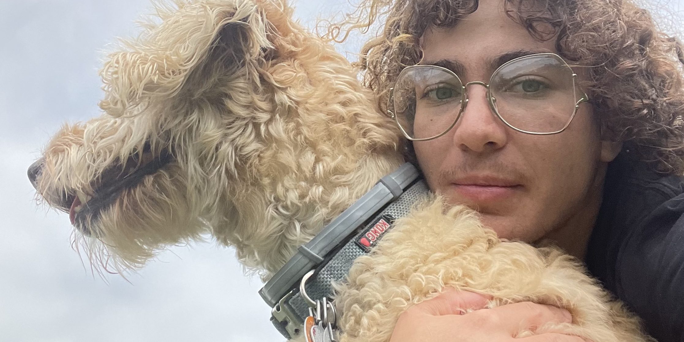 Crescent RuffCity NYC Dog Walkers